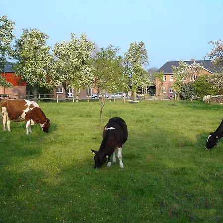 Lantgård Hof Faasel - Bauernhofurlaub An Der Ostsee Grömitz