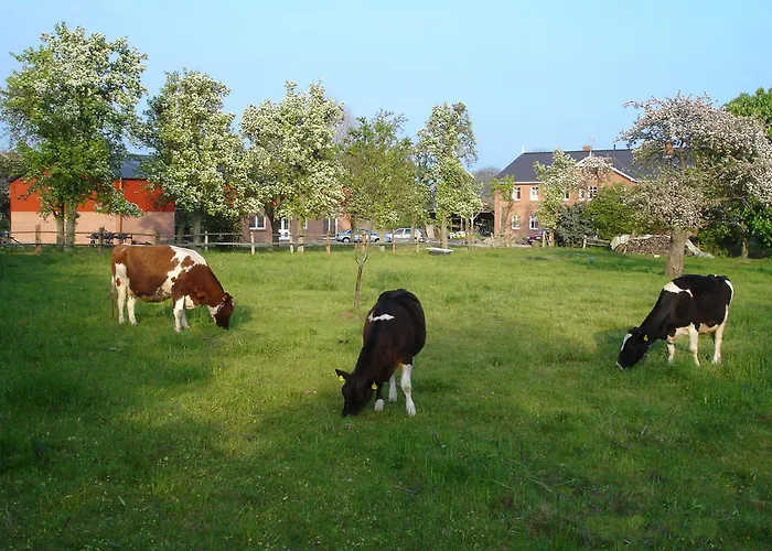 Alojamento de Turismo Rural Hof Faasel - Bauernhofurlaub An Der Ostsee Grömitz